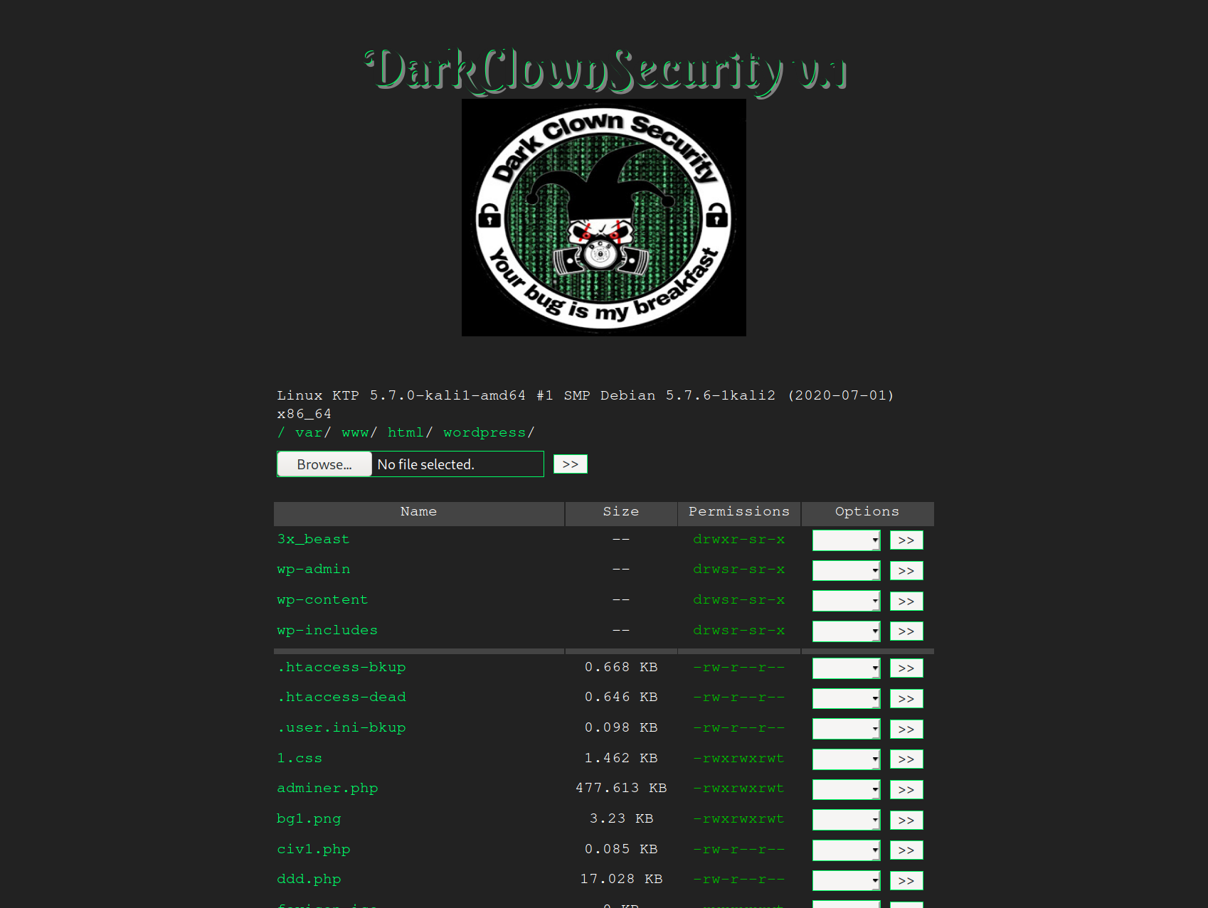 DarkClownSecurity Web Shell